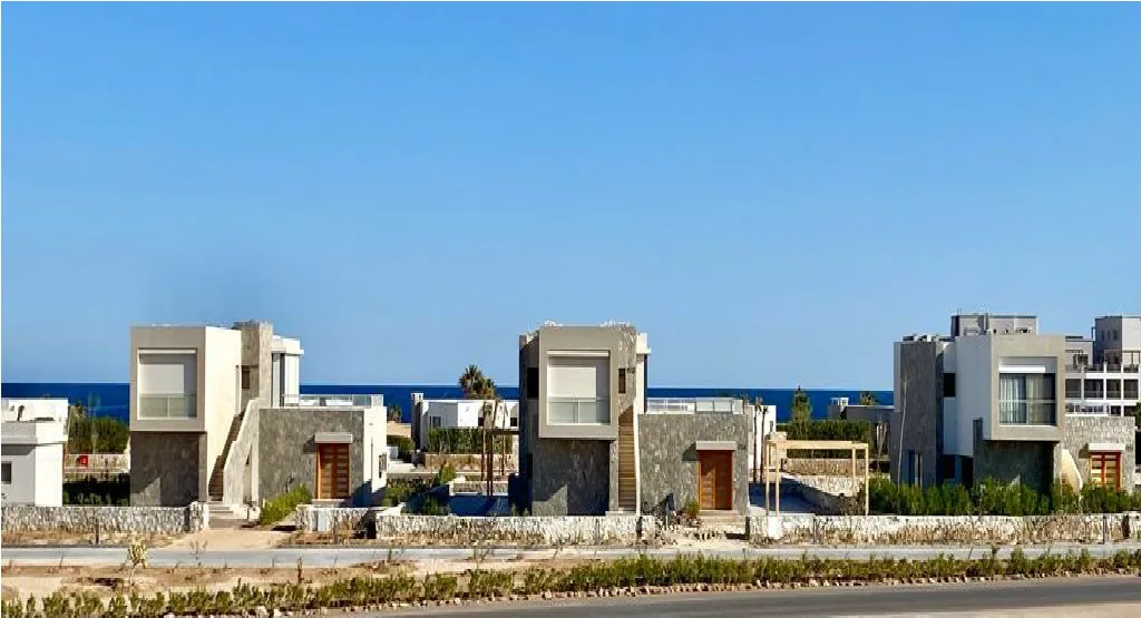 ReefTown gallery 3